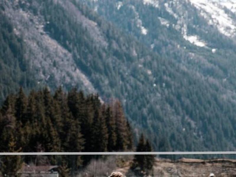 1C58BAB2E5A63FE7D6823B6A88E9E10C