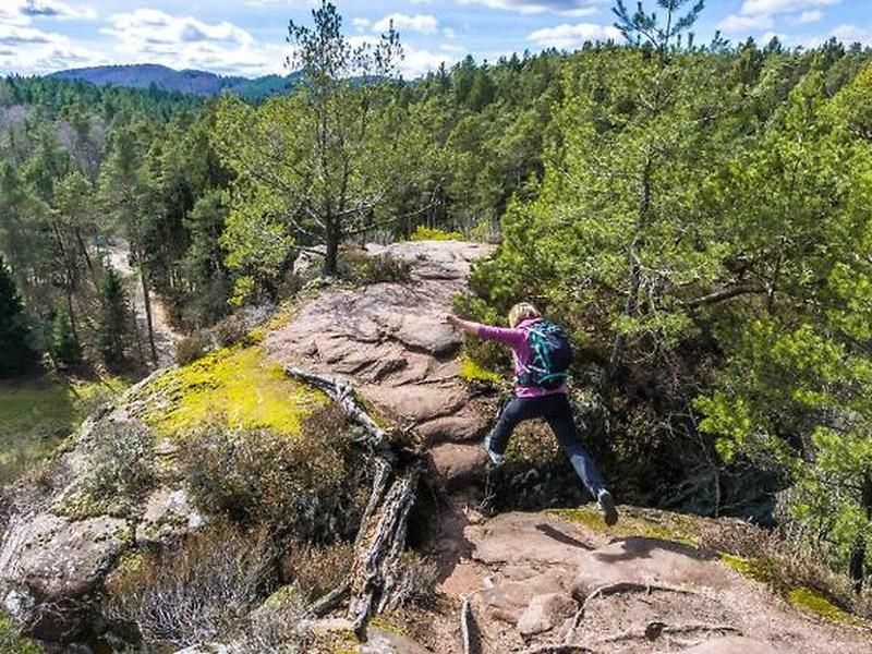 234D1804A6AD752934FB15C016E91649