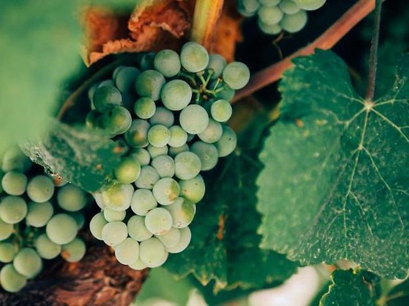 80499AC13F907762ED4FBC079442E2F4