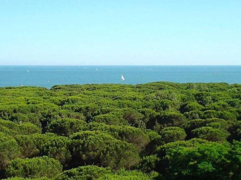 40163E2776FF4D28EA661E79BD802860