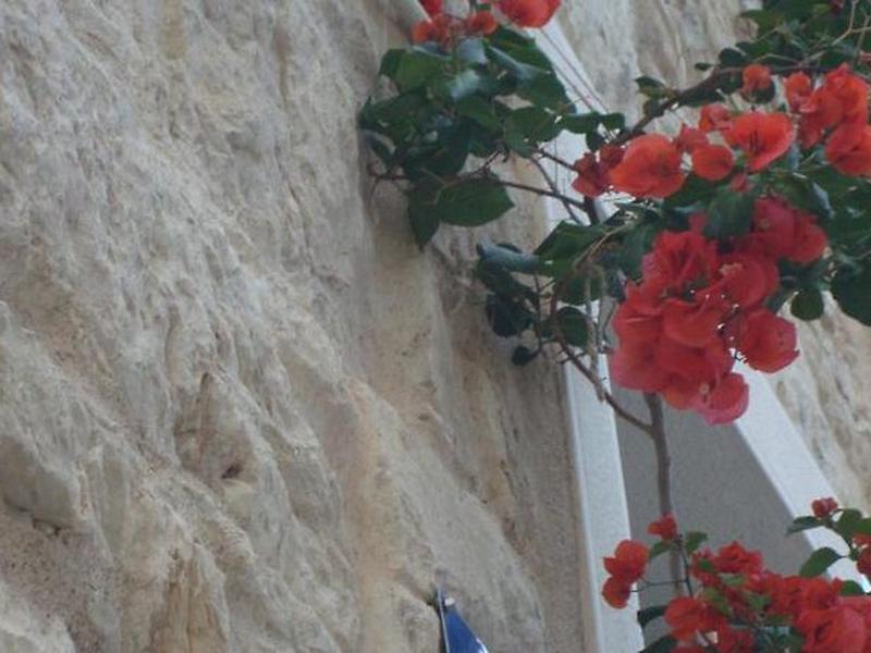 65978FF7986120E562A7D643B7F45B5C