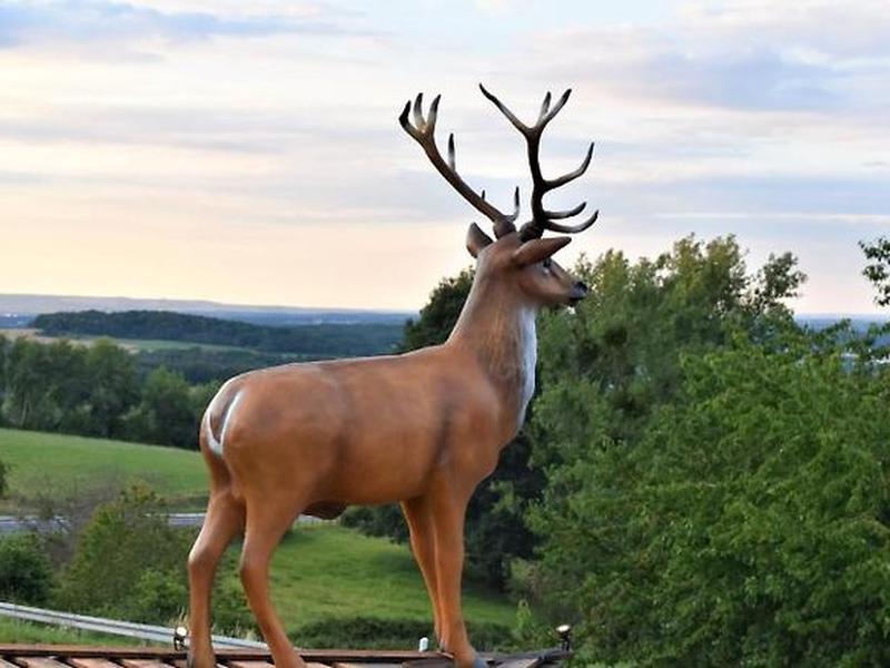 CE0176D440985F7F44F26173714B369A