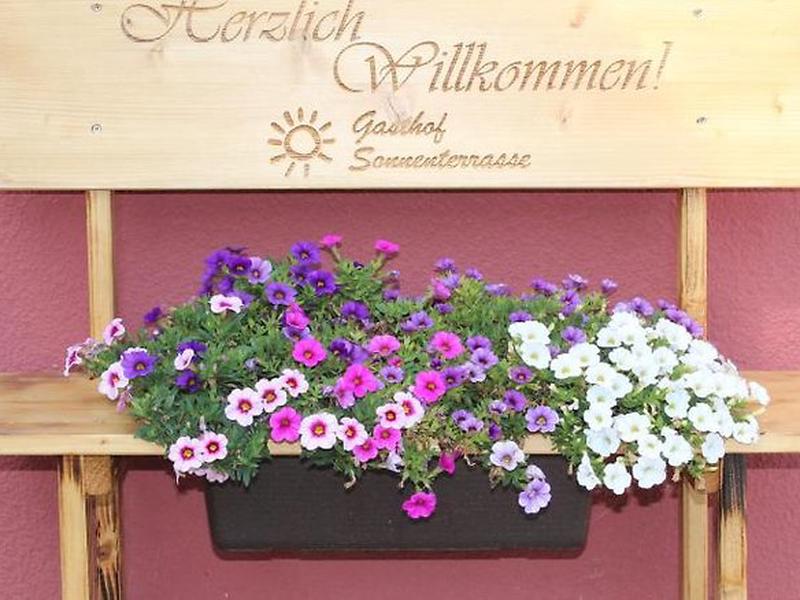 BC1AA202880DA4B5E35950D3D6BEE40D