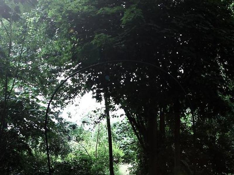 30A63384BA9C7D71BB9DFD7B5529C909