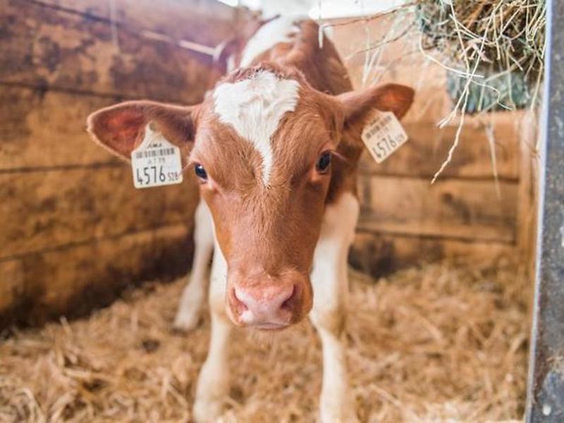 F0948F1DFF0270DC7EEC8FE1FE644E9E