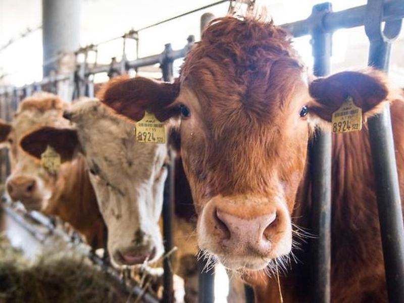 08ADEFD28ABDAA569408A652F3799D6C