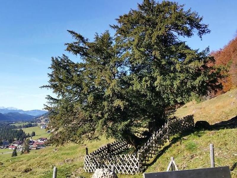 22C814FF07BBAC0A921C83917025E8B1