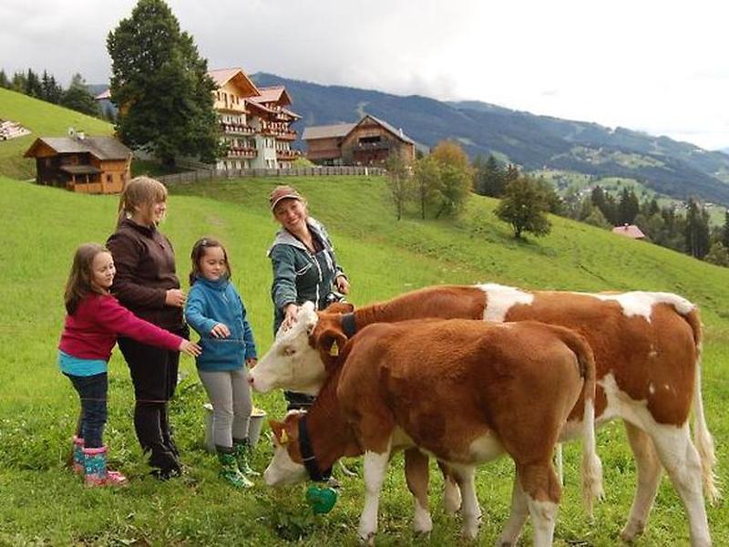 C895D6AE5E2B92166A026B17D7BF7672