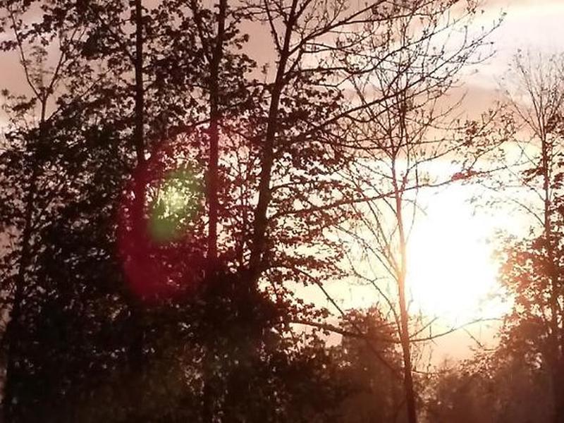 3F2108BE3BDF72C37DF87D5865BEBFFA