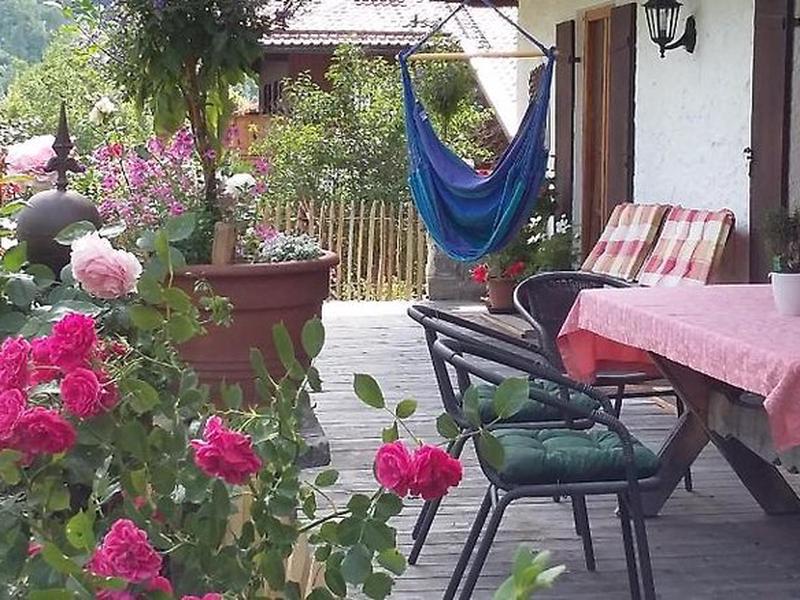 D44E4A809D7F258EF1CEE19036403BC5