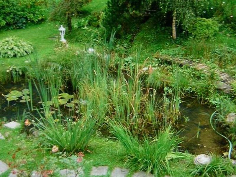 0C6CC7F76F4522C53AD61C4B48A4D664