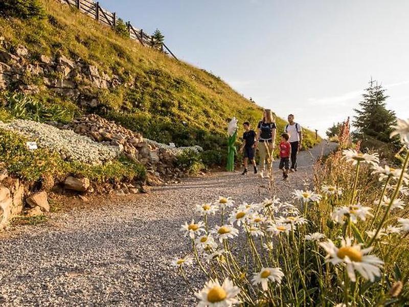 37AEE25A59B20079571D066433D2CFF4