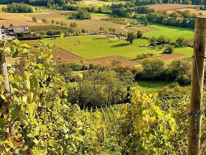 0DFE689009E08AF2178BCB46491C9835