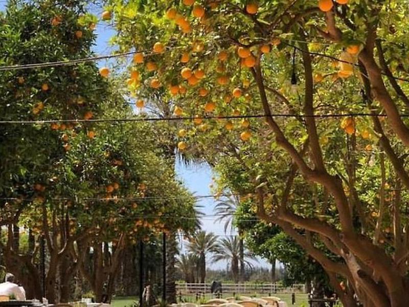 0BD8D7DFA03A233851A9A45D560D0C3C