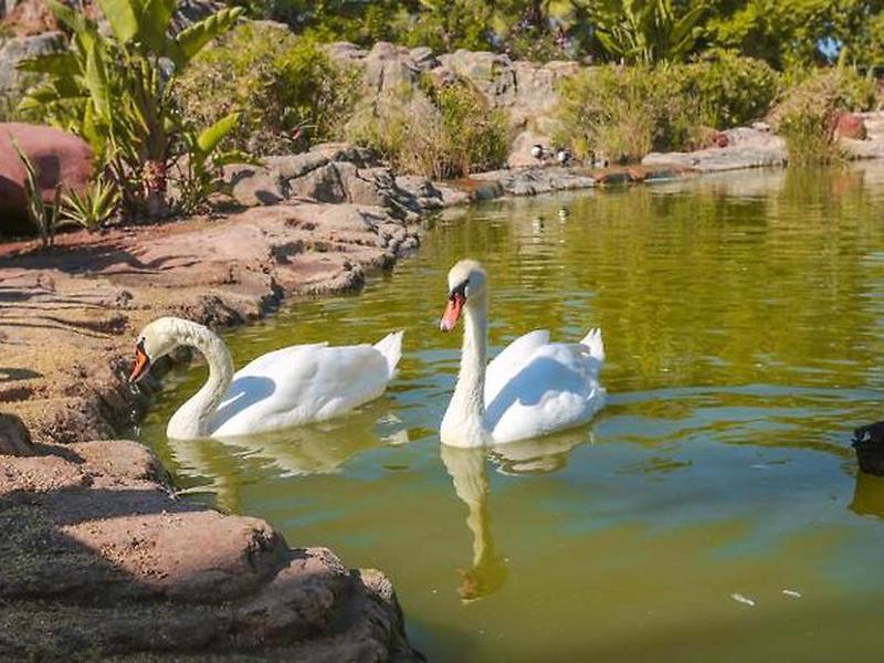 33FD1329E04B901C09289BE7C695659A