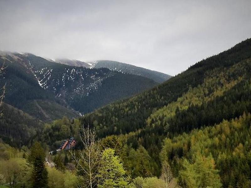 7A56531053FDC1C698CE36EA4DBBA2A5