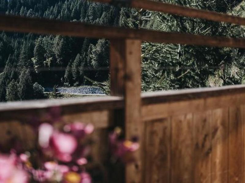 C386B3FD4BF3F66541C9B3D4E6CCD4E0