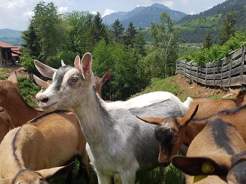 7507E4F2C3CA89C1C33B8C4EDC4159BD