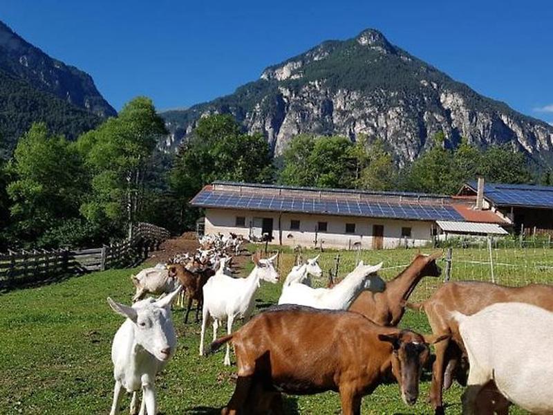 8D7937B607E422DB1D2EDA172E26A547