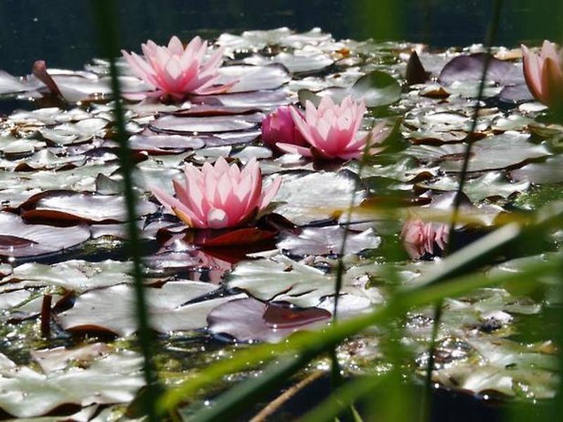 FFEAD4F2A14A265912ACC20714A0E0A9