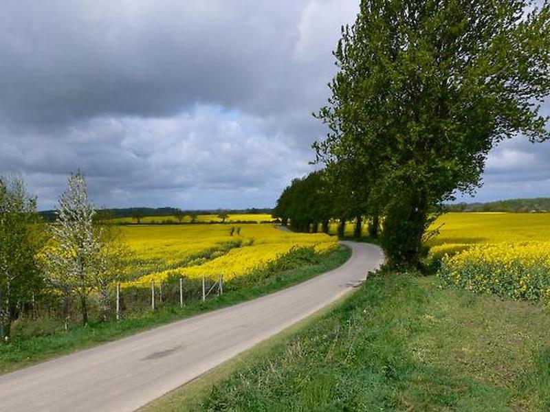 4C3162E7AAB0BF6E7628287F4961AA7A