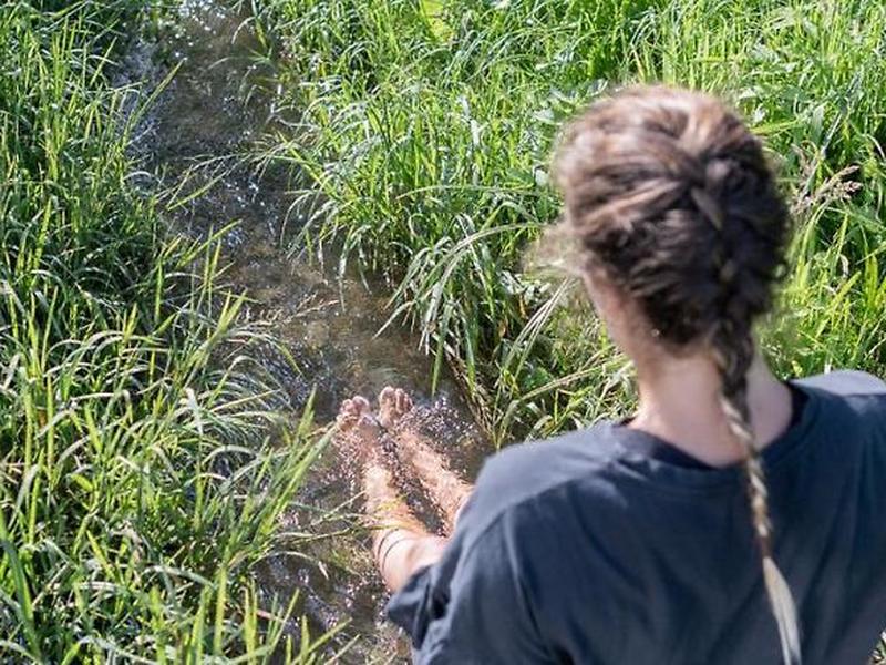 A8F8DA66998810D188C03B1716121DF7