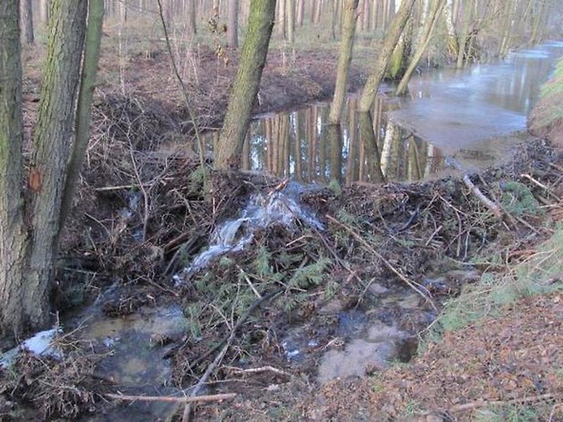 6286FCC7540C858EEC543C587D2670B1