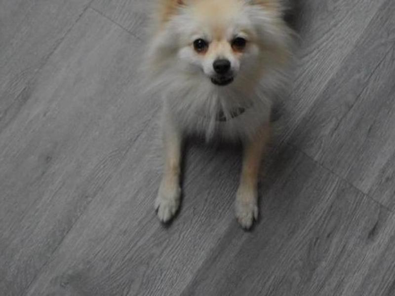 83EF7CB516F944A3C1BB69C10A45775B