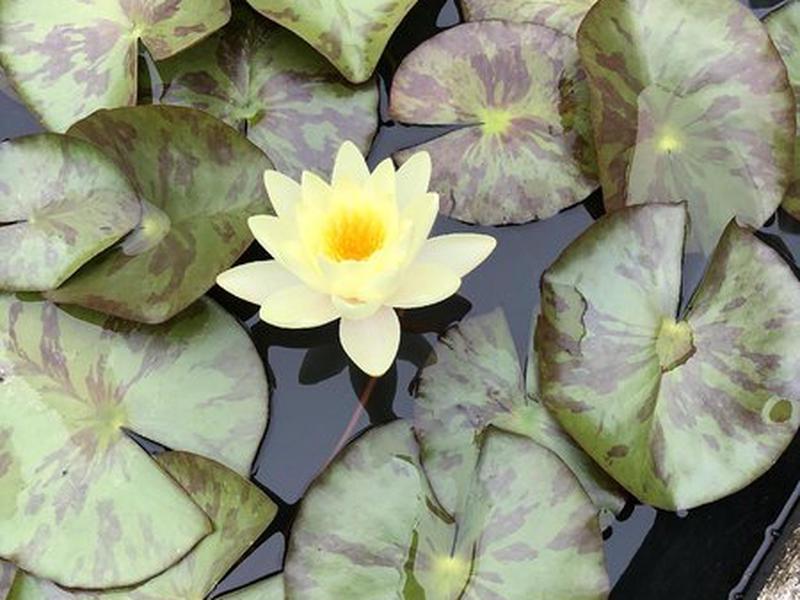 FE1315EF4CD79FE47F96A46C08A566F8