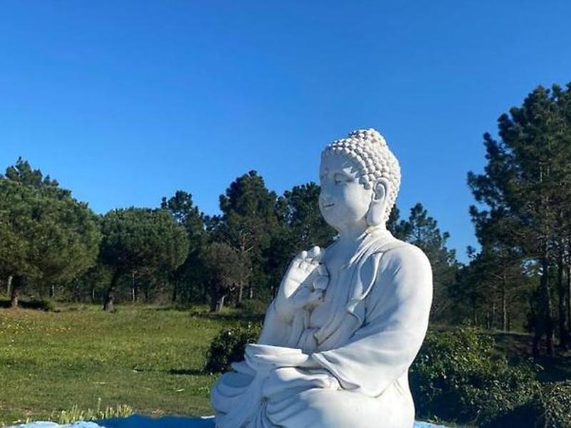 91C34C6369B5AAE3E52317C8F96F58AF