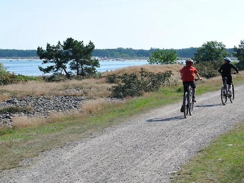 6C4D07EA2D60E31020D1E9A72463A143