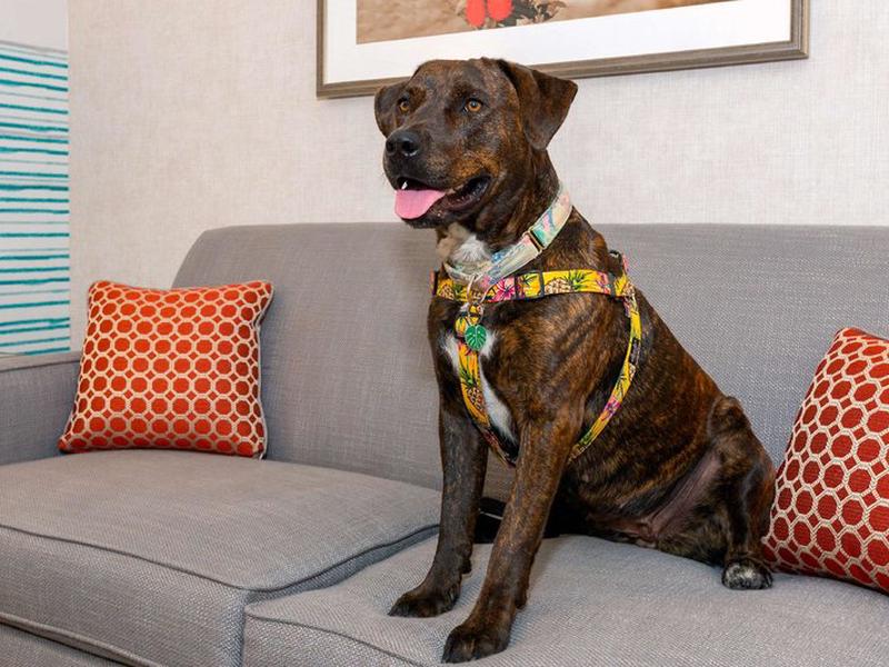 0198E16D16AB4ED0105D8EDB5300EFAF