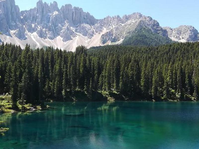 9E46D6C9F42384B0EB2D004D4904AA2B