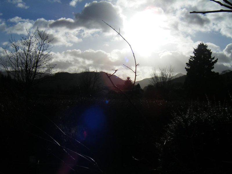 5065CB31E74CCC4EC2B3ACD45603CB0D