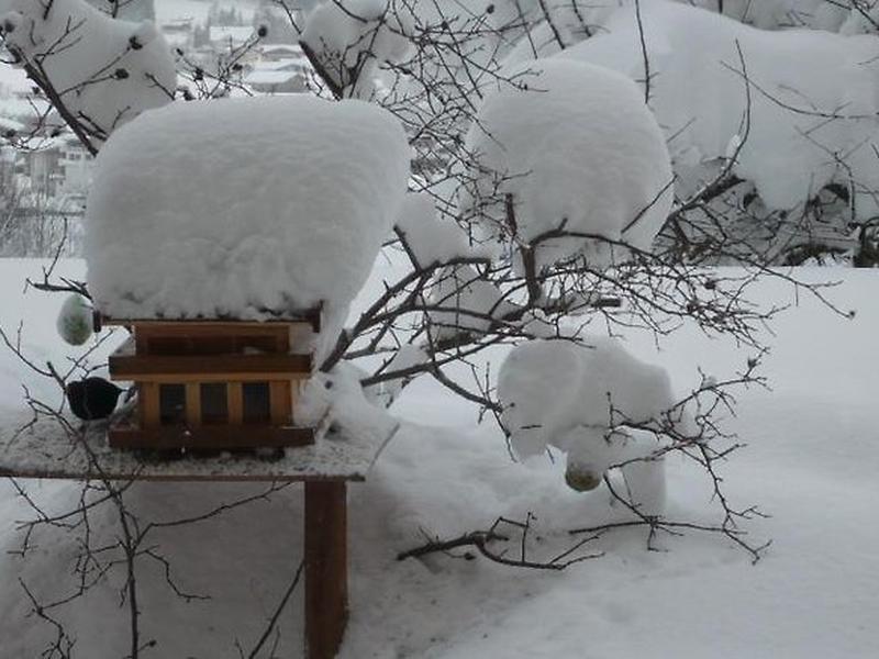 7914D519A515548B14B1322D65A7352E