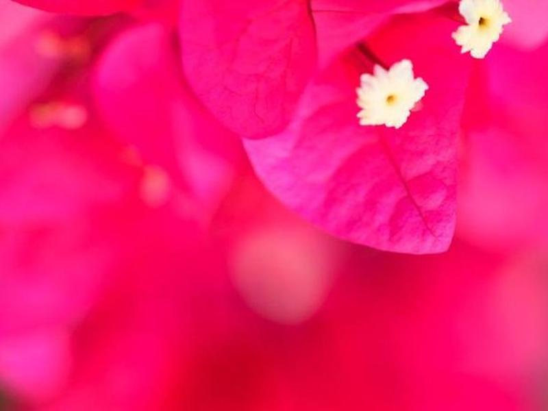 2EF43C7C84B51C01A19BDCF3EA0D9EEC