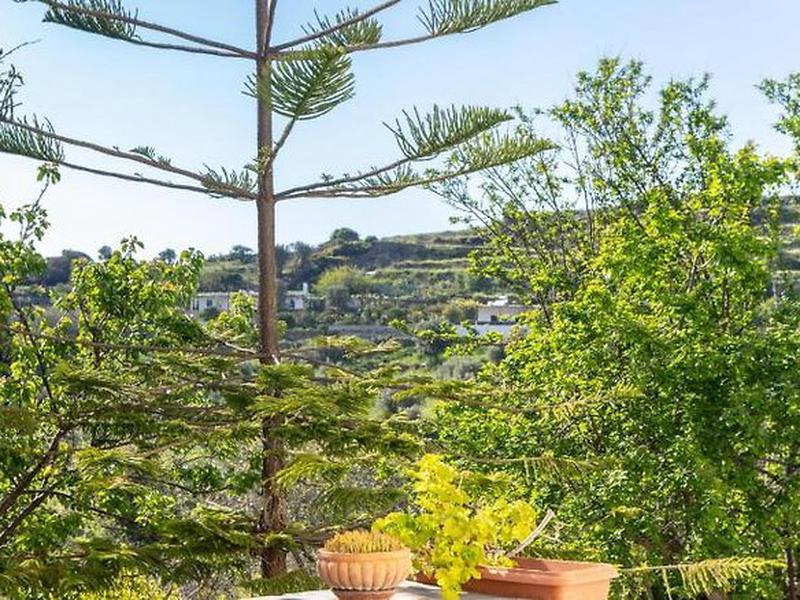 8AF78BC9FFA85F96F8D69524B7191A29