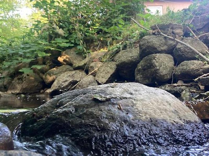 5D206CF53F910674E2DE1386D90AB889