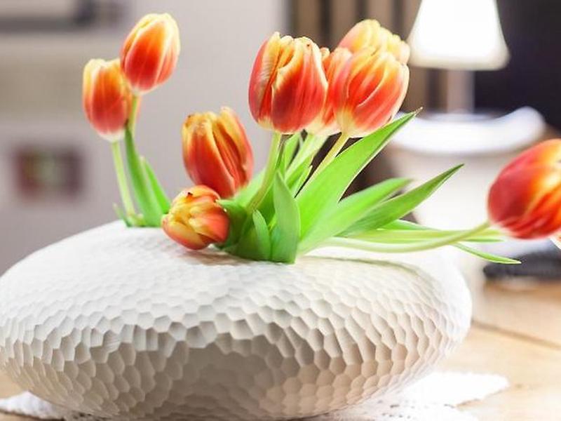 7ECB98262573287F3B99C0CBF518CFF5