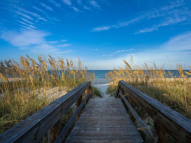 BDF239B0FC108AF47A03FE251752B4F7