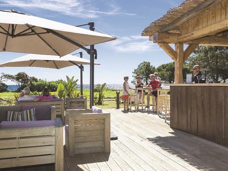 7843B01818514C388177C3265A33F601