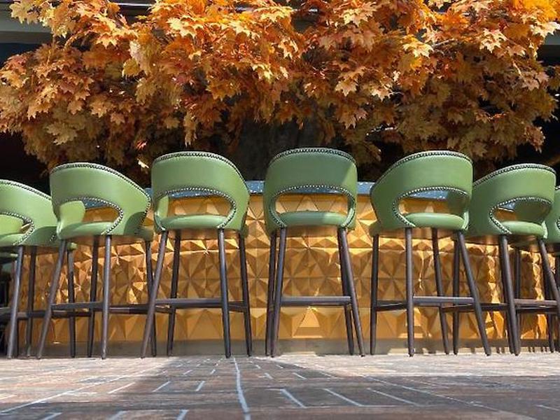 BBE18DD2081EBEE807AEBFE408476A7A