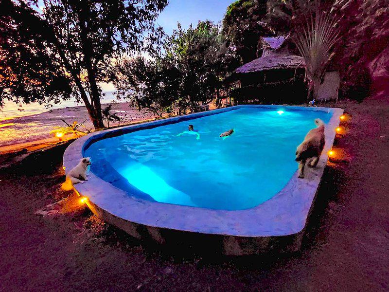 16CDAE8CD055F2E8859706FD506D374D