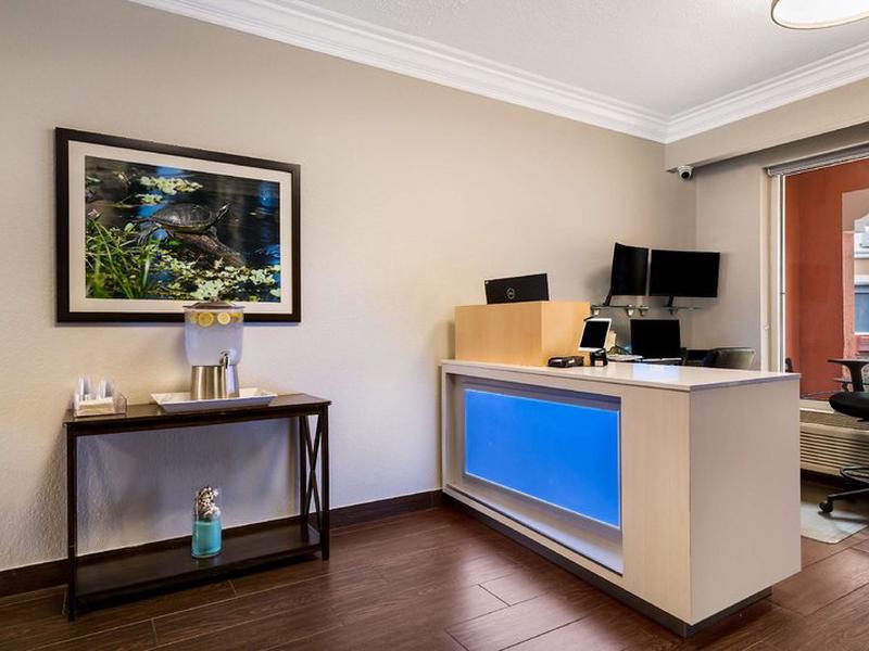 0728945527531A259FDB62F6135A870D