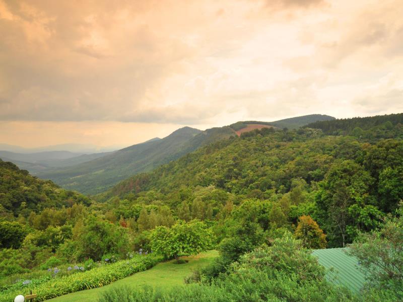 AD622869CAC6A490DFD7590DE99476A5