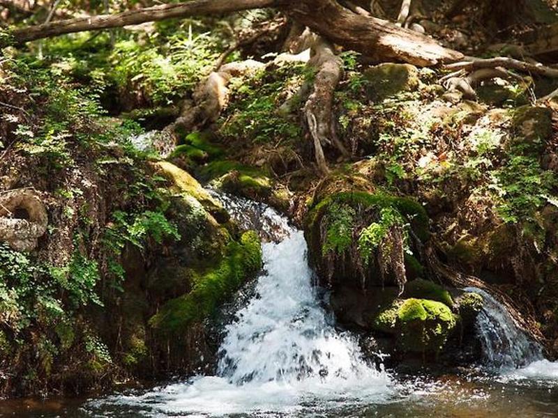 192DC9057EB589C906A65512896C0B1F