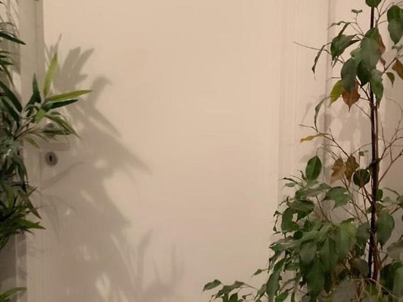 7BA021215FE39FDE2C9F5C5EAF2E93C7