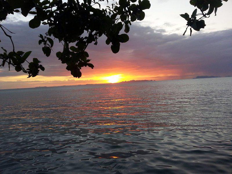 F61F6B2CCB662030CE79E3024CA9E60B