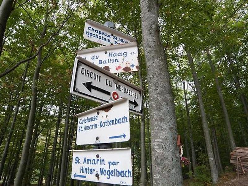 F59C163915D25FC3FFFC9FE12BF7FD04