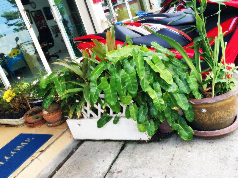 E6407A01692B81F7675CCADB30D97A28